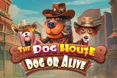 Thedoghousedogoralive игровой автомат Гриззли Казино